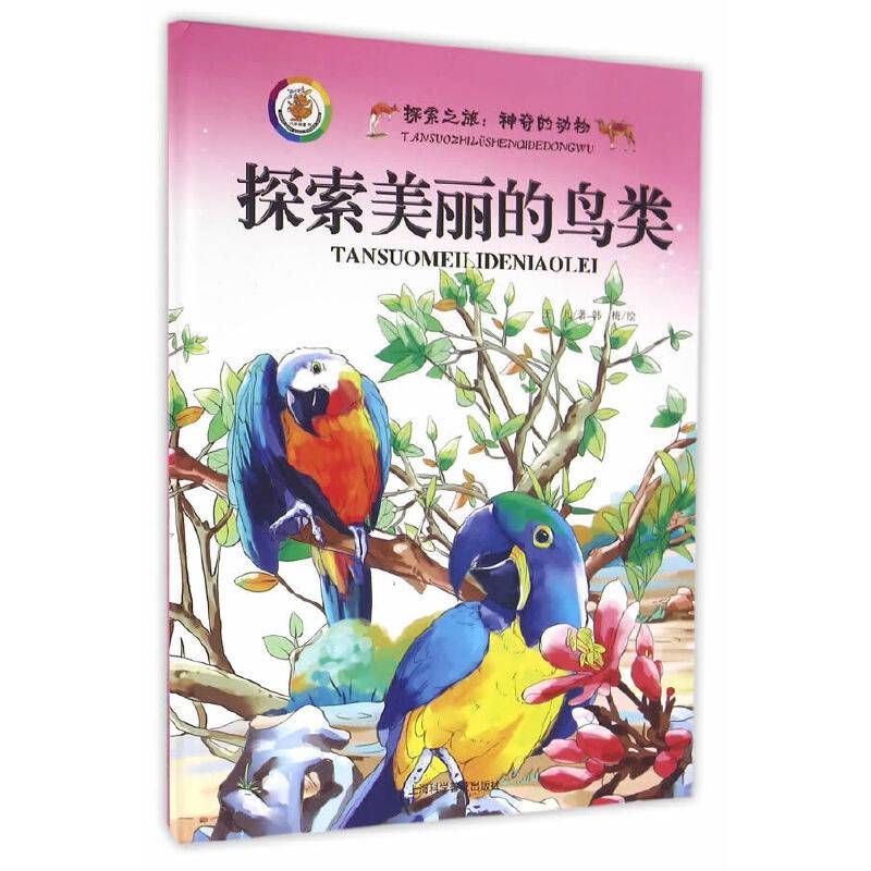 探索美丽的鸟类