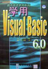 学用Visual Basic 6.0
