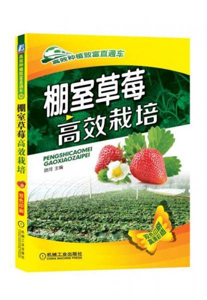 棚室草莓高效栽培