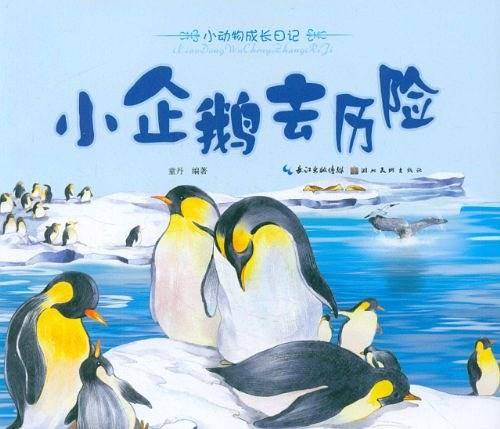 小企鹅去历险-小动物成长日记