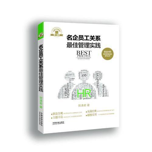名企HR最佳管理实践系列丛书：名企员工关系最佳管理实践