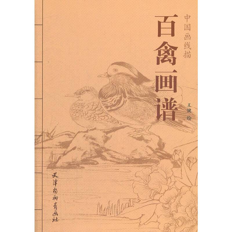 百禽画谱-中国画线描