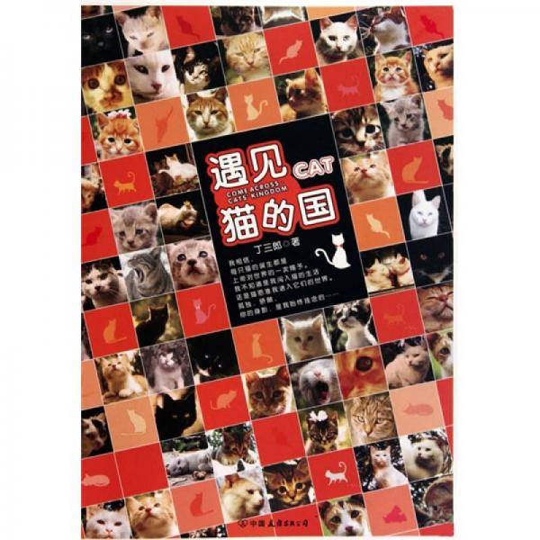 遇见・猫的国