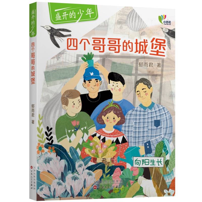 四个哥哥的城堡