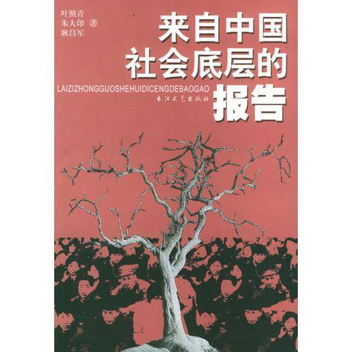 来自中国社会底层的报告