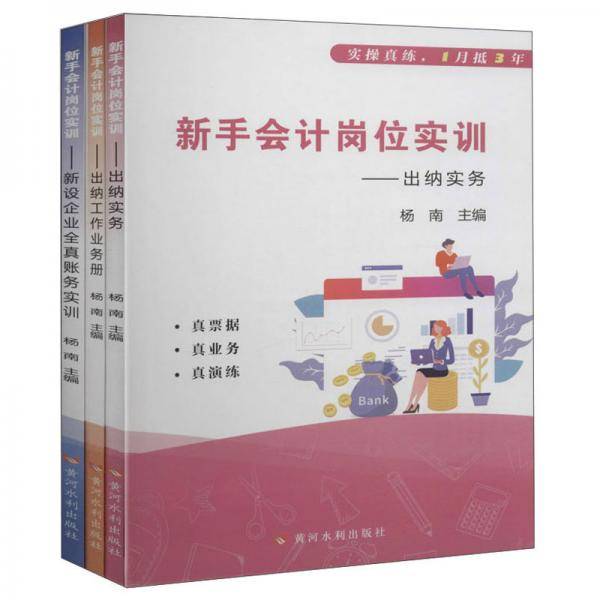 新手会计岗位实训