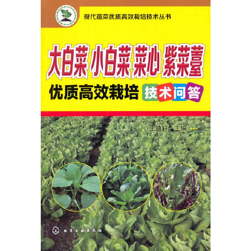 现代蔬菜优质高效栽培技术丛书--大白菜、小白菜、菜心、紫菜薹优质高效栽培技术问答