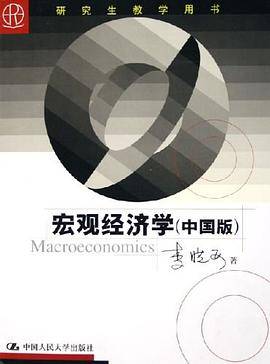 宏观经济学（中国版）