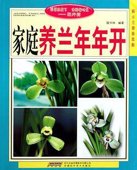 家庭养兰年年开