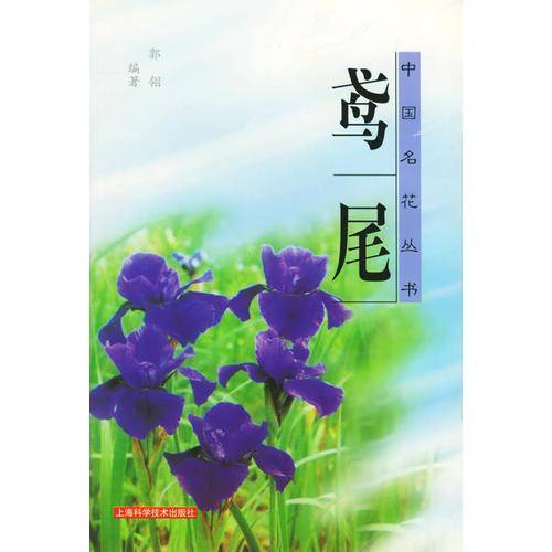鸢尾