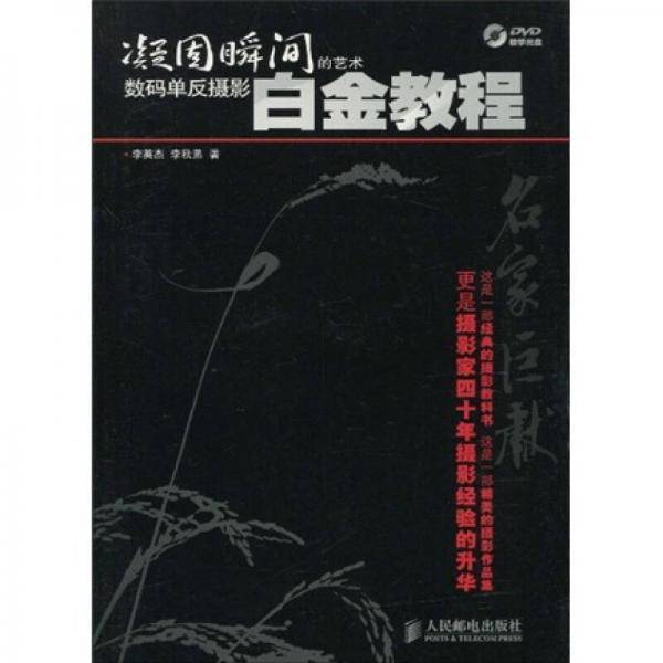 凝固瞬间的艺术