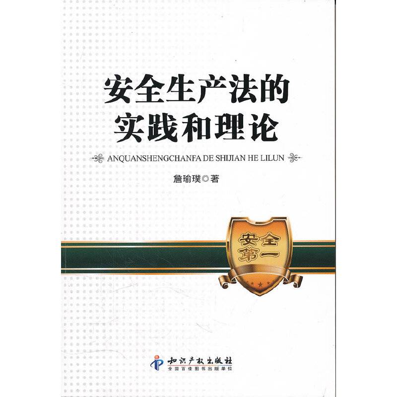 安全生产法的实践和理论