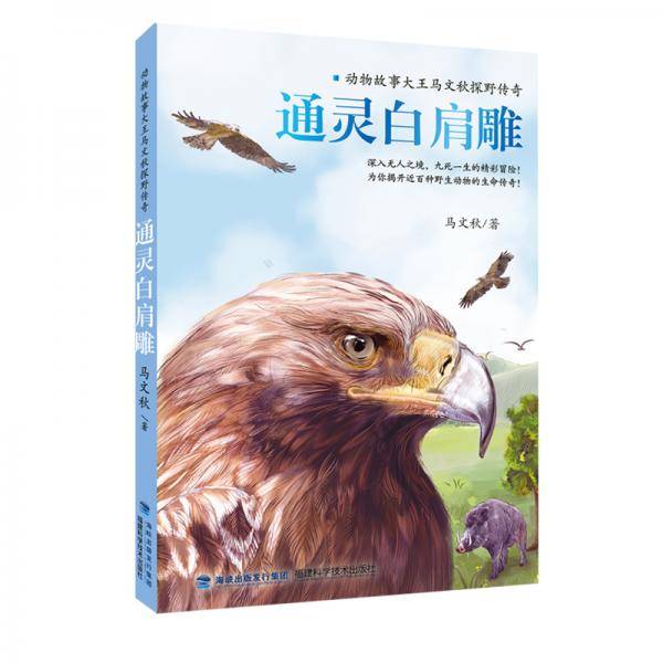 《通灵白肩雕》