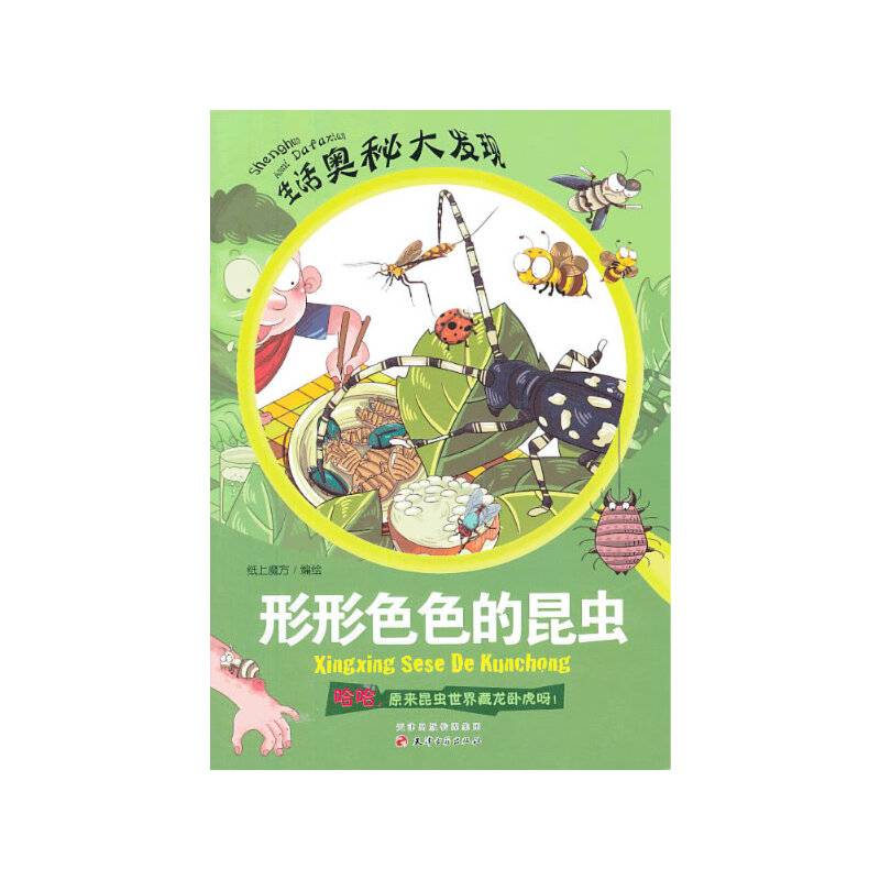 形形色色的昆虫