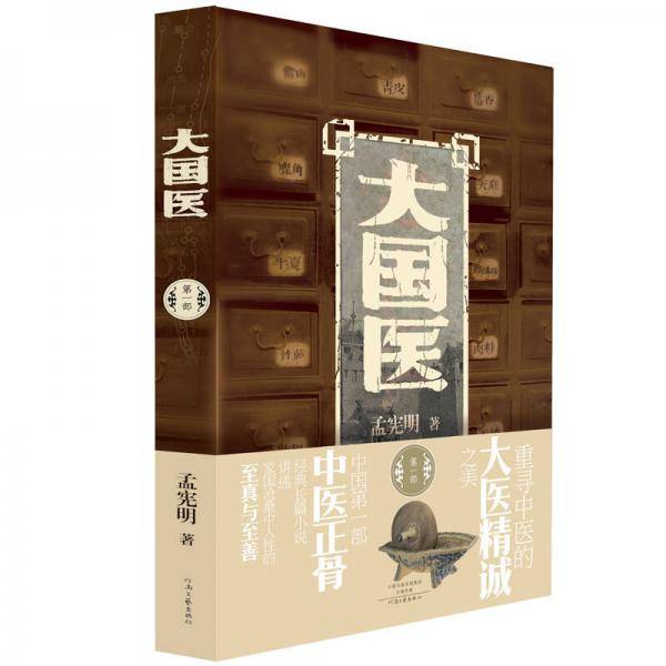 大国医（第一部）