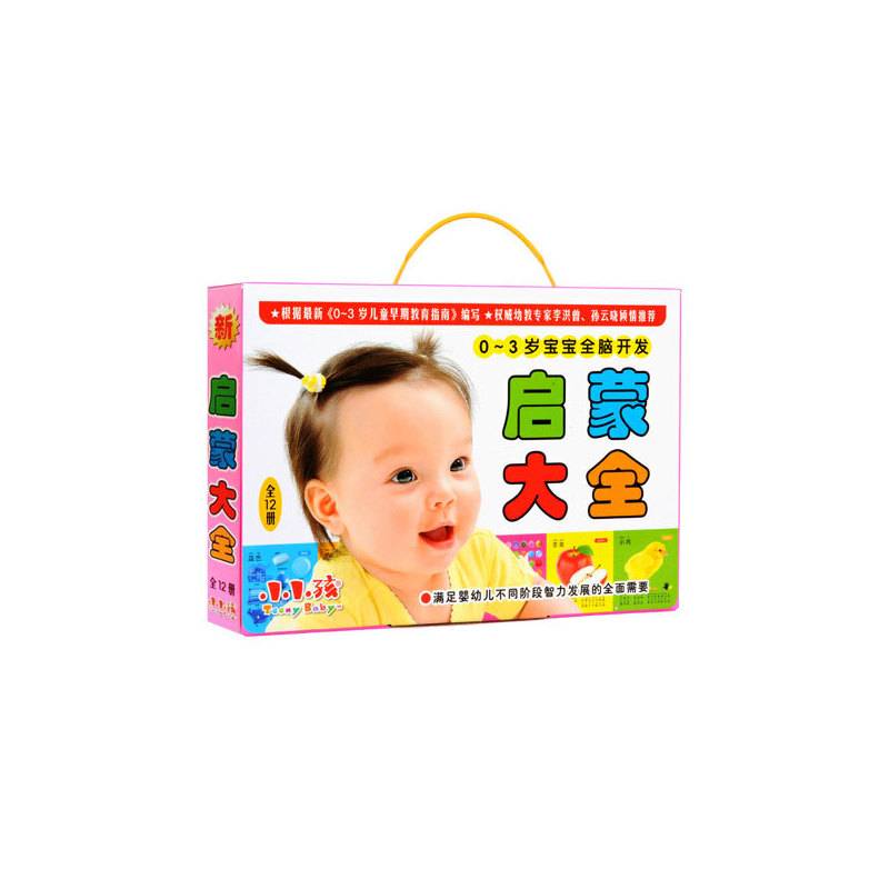 0-3岁宝宝全脑开发启蒙大全（套装共12册）