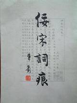 佞宋词痕