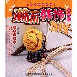 潮流韩饰DIY 高级篇