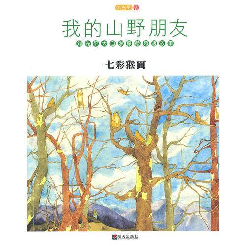 我的山野朋友・七彩猴面