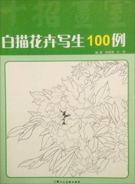 白描花卉写生100例(十招画室)