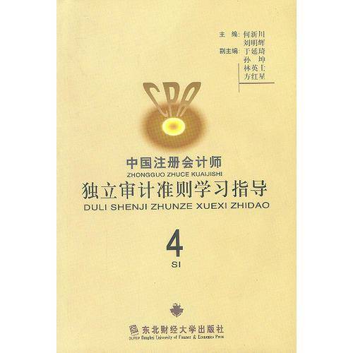 中国注册会计师独立审计准则学习指导4