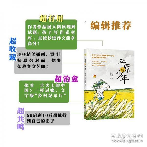 平原与少年