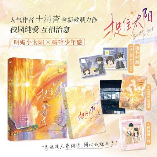 捉住太阳（人气作者十清杳继《你失信了》《白纸与喜欢》后救赎新作，沈栖×许梧黯 破碎少年感×坚韧小太阳，全文新修订，新增三则出版番外