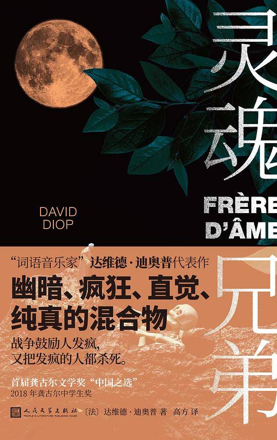 “词语音乐家”达维德・迪奥普代表作：灵魂兄弟