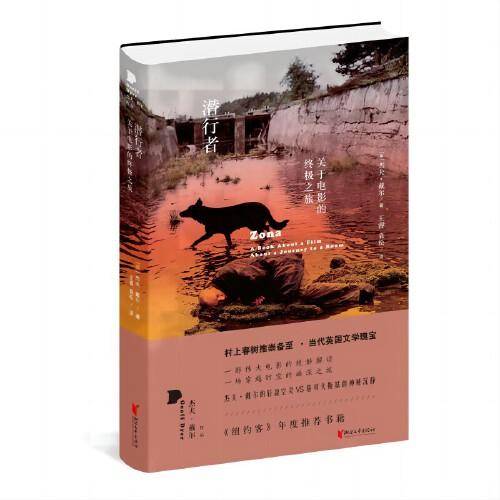 潜行者：关于电影的终极之旅（杰夫·戴尔作品系列）