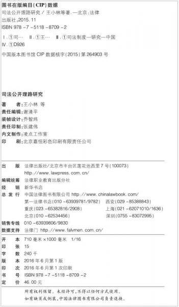 司法公开理路研究