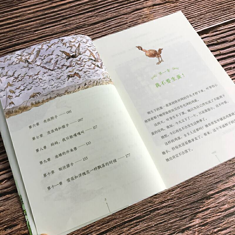 黄善美动物小说系列  走出院子的母鸡