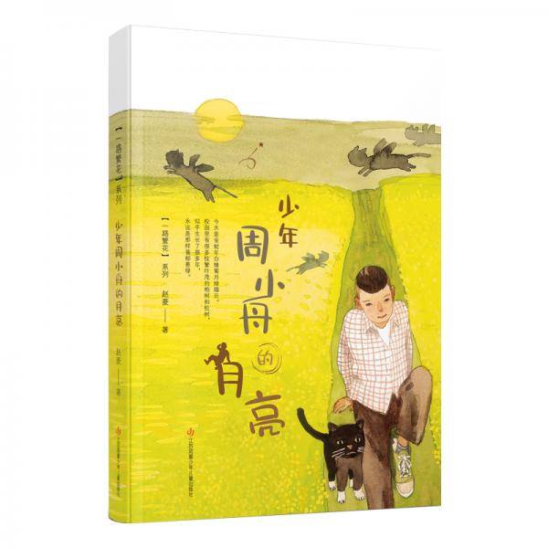 一路繁花系列：少年周小舟的月亮