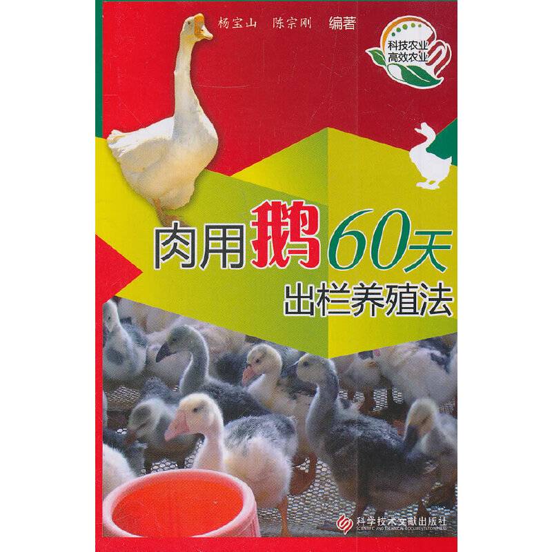 肉用鹅60天出栏养殖法