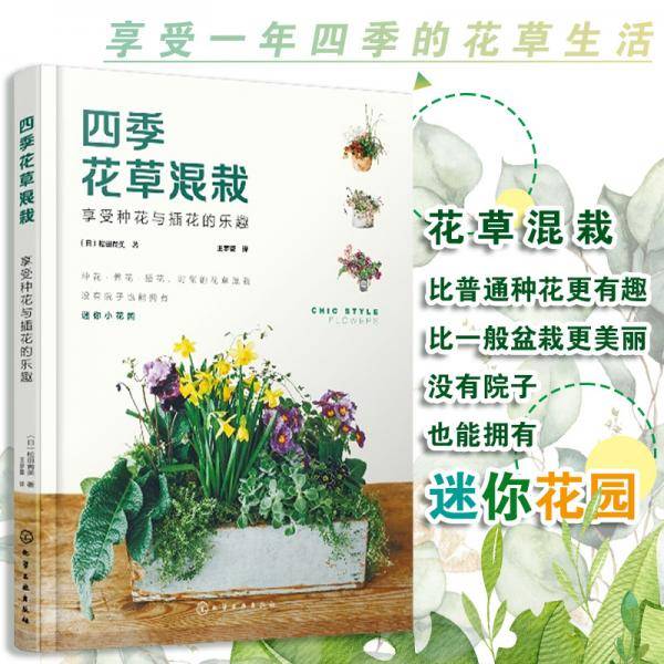 四季花草混栽：享受种花与插花的乐趣