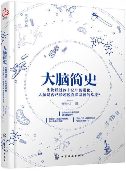 大脑简史