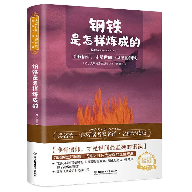 钢铁是怎样炼成的 世界名著 中小学生课外阅读推荐书籍