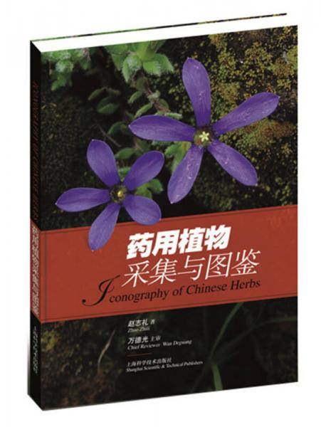 药用植物采集与图鉴