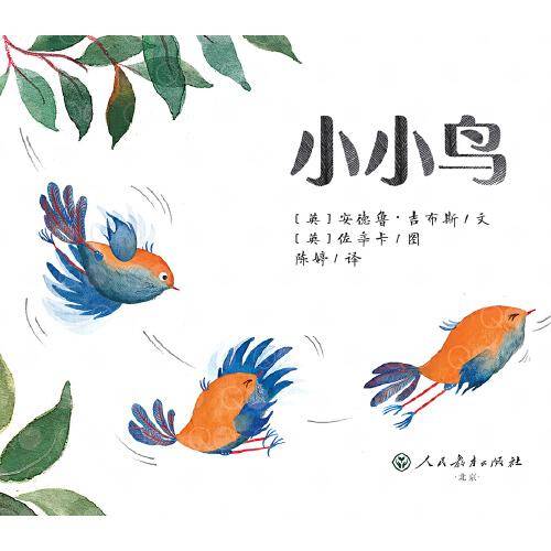 万花筒世界精选图画书·小小鸟