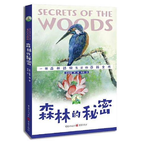 森林的秘密