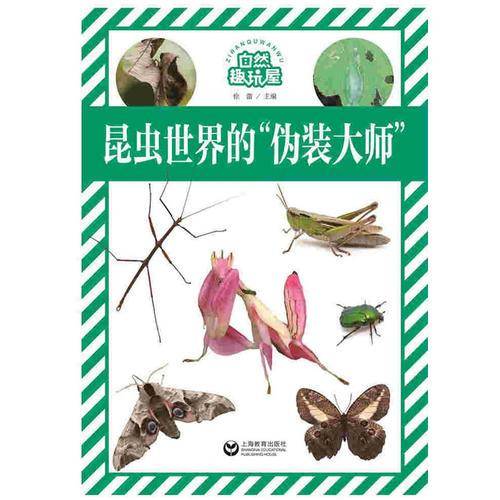 昆虫世界的“伪装大师”