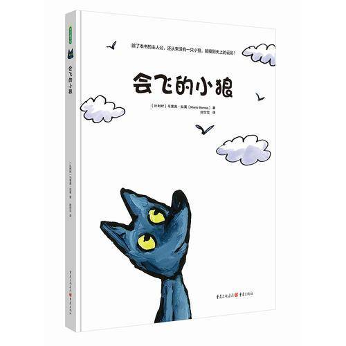 《会飞的小狼》
