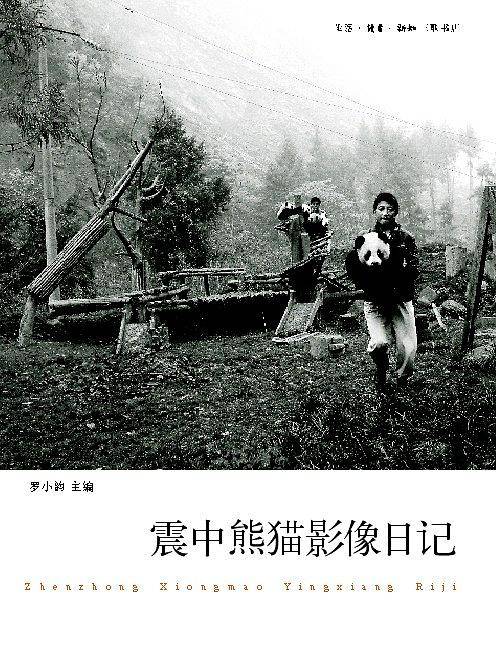 震中熊猫影像日记
