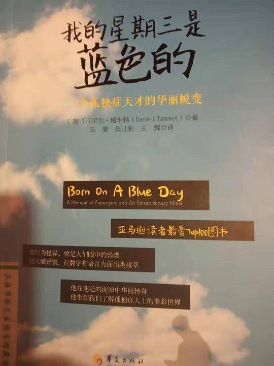我的星期三是蓝色的 一个孤独症天才的华丽蜕变