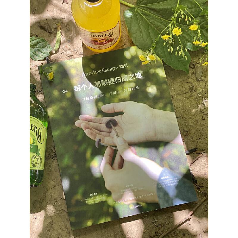 物外04：每个人都需要归属之地