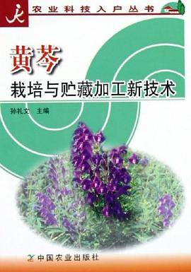 新世纪英语词汇手册