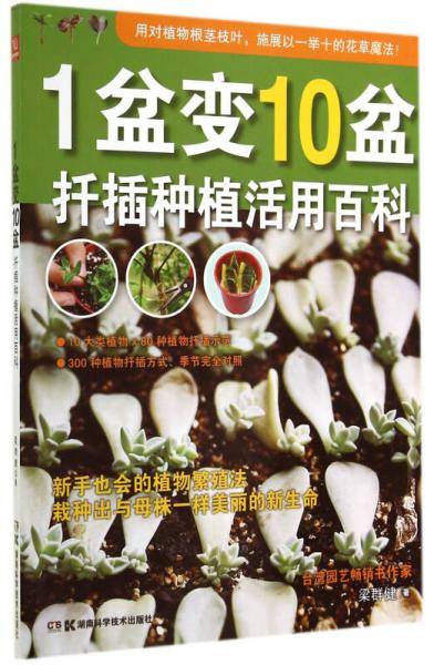 1盆变10盆：扦插种植活用百科