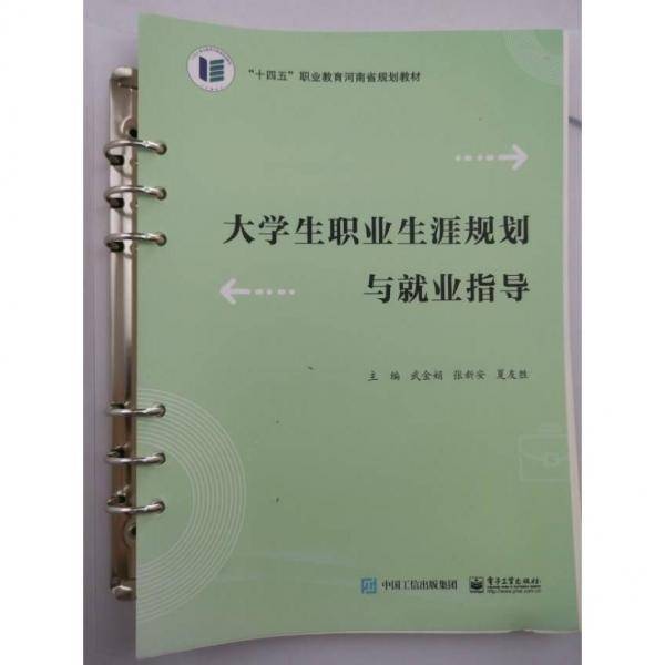 大学生职业生涯规划与就业指导9787121377242