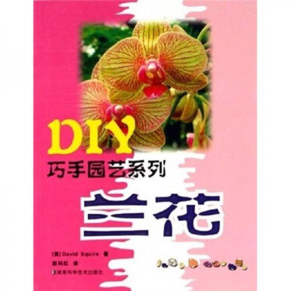兰花