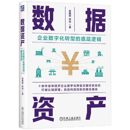 数据资产：企业数字化转型的底层逻辑 蒋麒霖 郭丹
