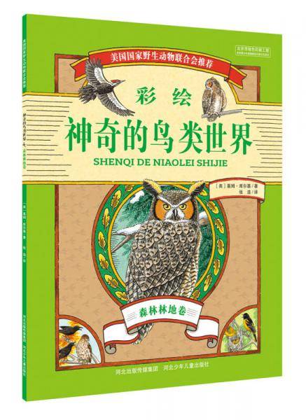 神奇的鸟类世界 森林林地卷